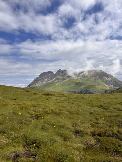 Flora che cambia: il caso del Monte Agnello <br> Escursione