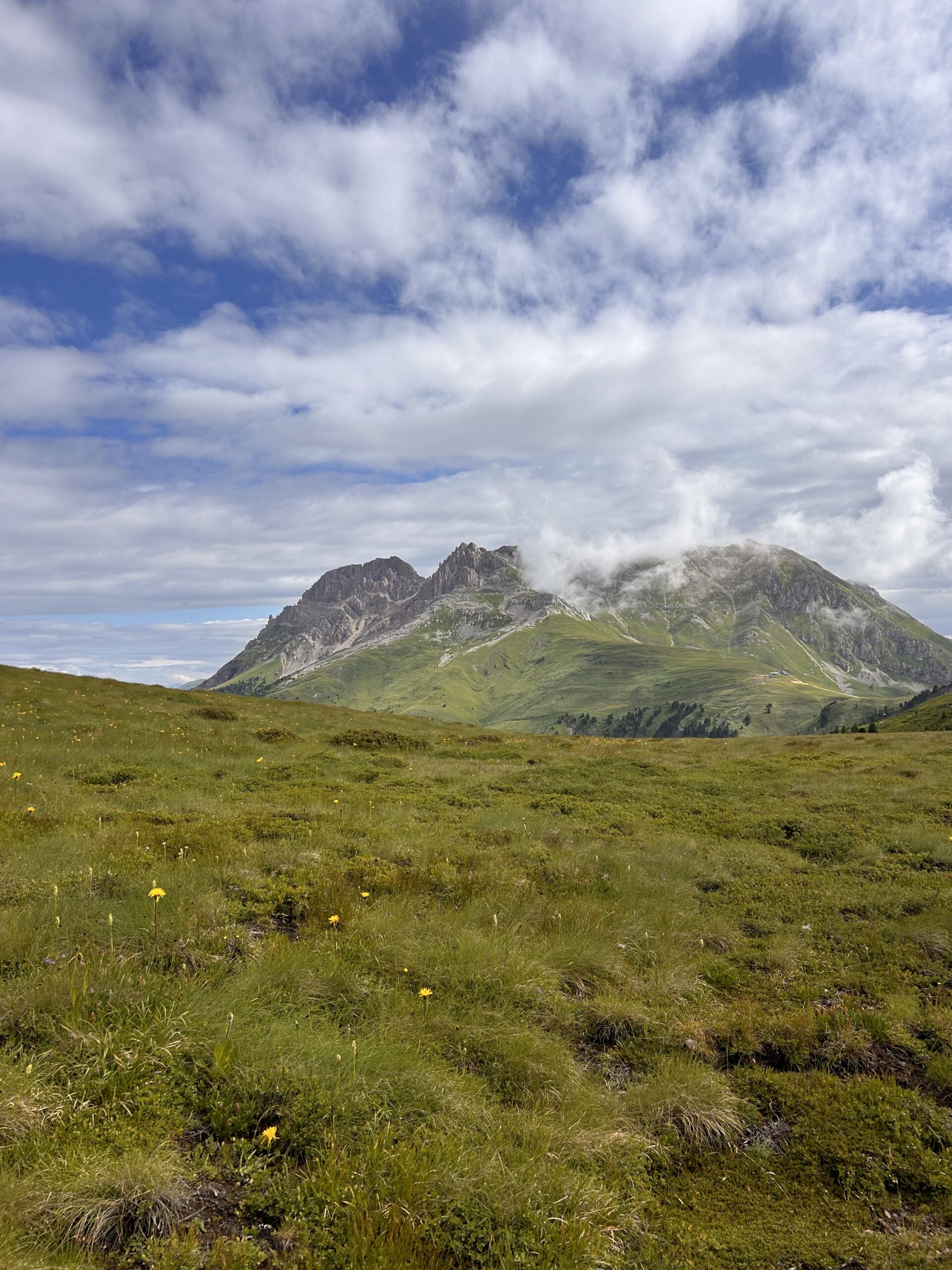 Flora che cambia: il caso del Monte Agnello <br> Escursione